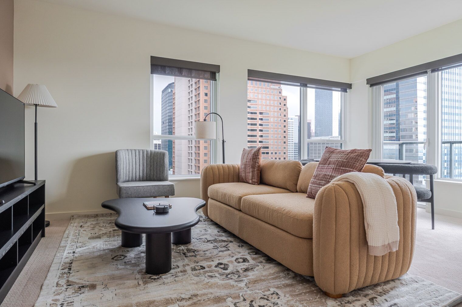 Télévision, chaîne hi-fi