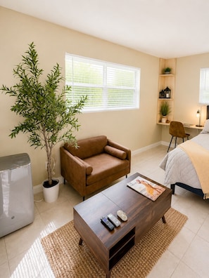 Smart TV, fireplace, video games, DVD player