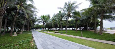 A paved walkway flanked by palm trees and a grassy area with a stone bench.