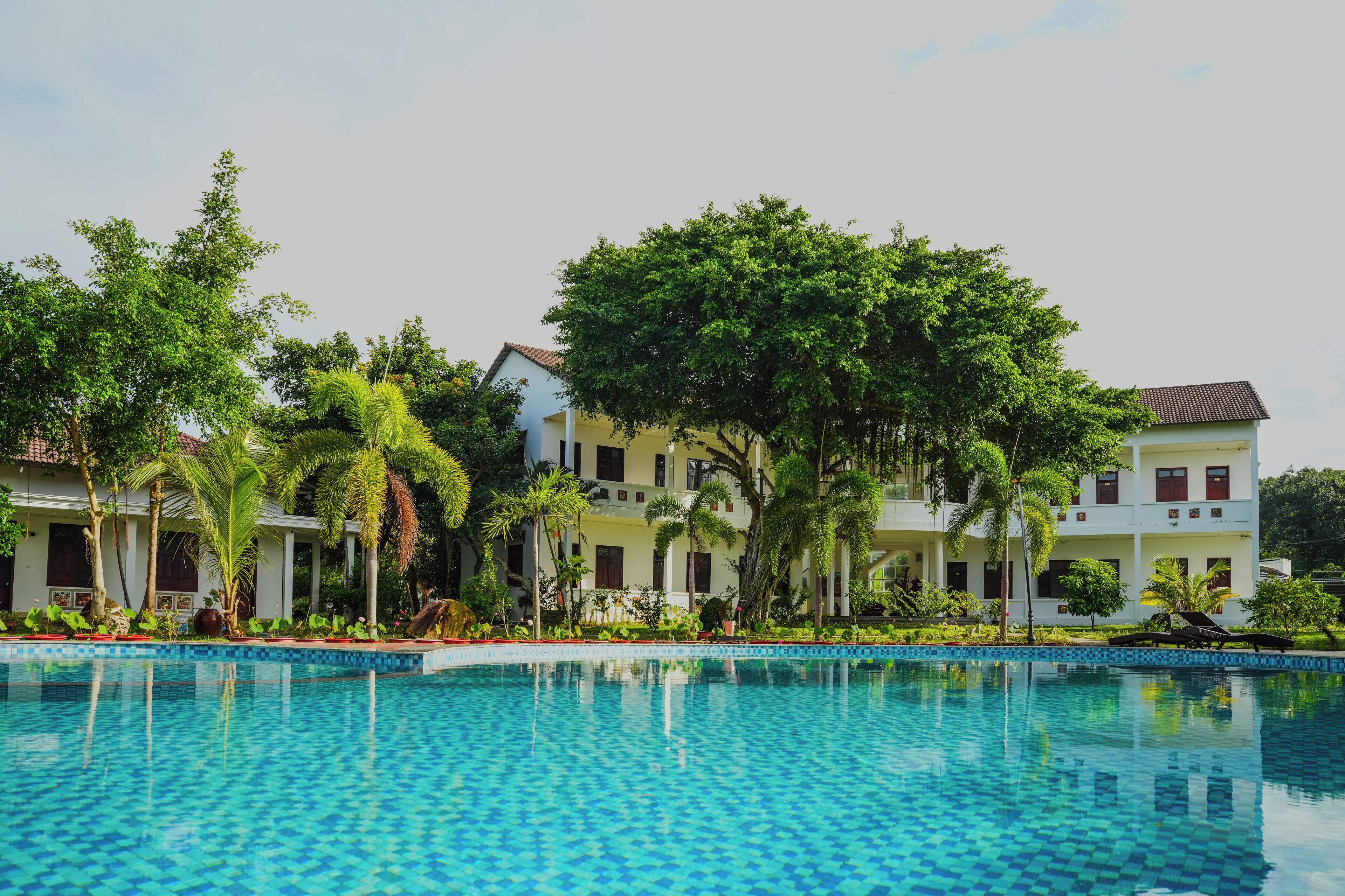 Outdoor pool, pool umbrellas, sun loungers