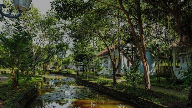 Um jardim tranquilo com um lago, vegetação exuberante e um edifício tradicional com telhado de azulejos.