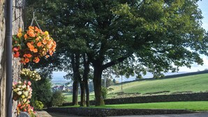 Un sentier pavé de pierres menant à un mur de pierre, avec des fleurs en suspension et des arbres en arrière-plan.