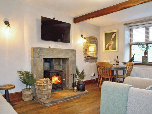 TV, fireplace