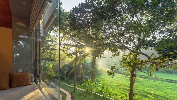 Une chambre dotée d’une grande fenêtre donnant sur un paysage verdoyant, un lit avec des oreillers et une vue sur un chemin bordé d’arbres.