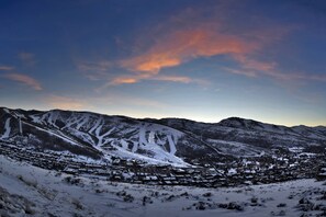 Unclassified image, 4 of 49, button