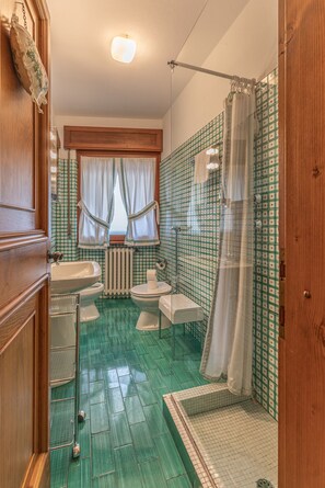 Regadera, secadora de cabello, bidet, toallas 