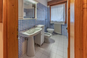 Shower, hair dryer, bidet, towels