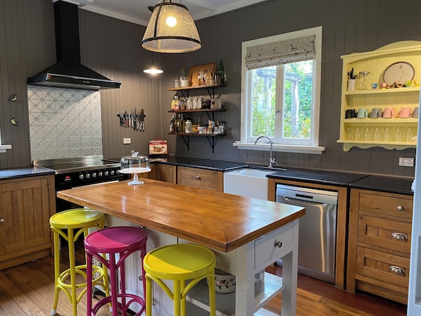 Oven, stovetop, dishwasher