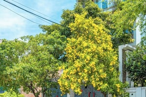 รูปภาพที่ไม่ได้จัดประเภท, 4 จาก 19, ปุ่ม