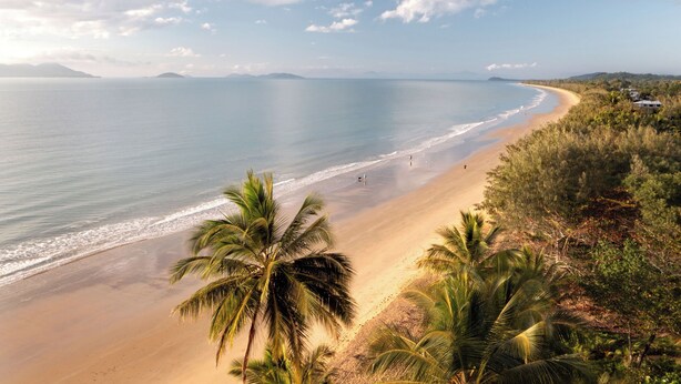 Una playa con palmeras y una vista despejada del océano.