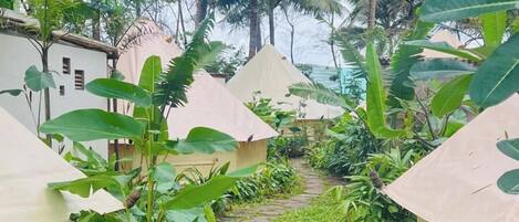 Family Room | Bathroom