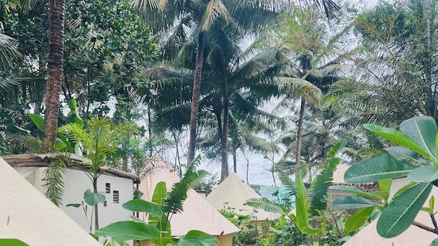 A pathway leading to a row of white tents with large green leaves in the foreground. - Virama Gokarna (Gokarna)