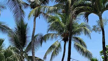 Nhà, 5 phòng ngủ, phù hợp cho người khuyết tật, hồ bơi riêng | Ngoại thất