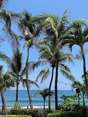 獨棟房屋, 5 間臥室, 無障礙, 私人泳池 | 外觀