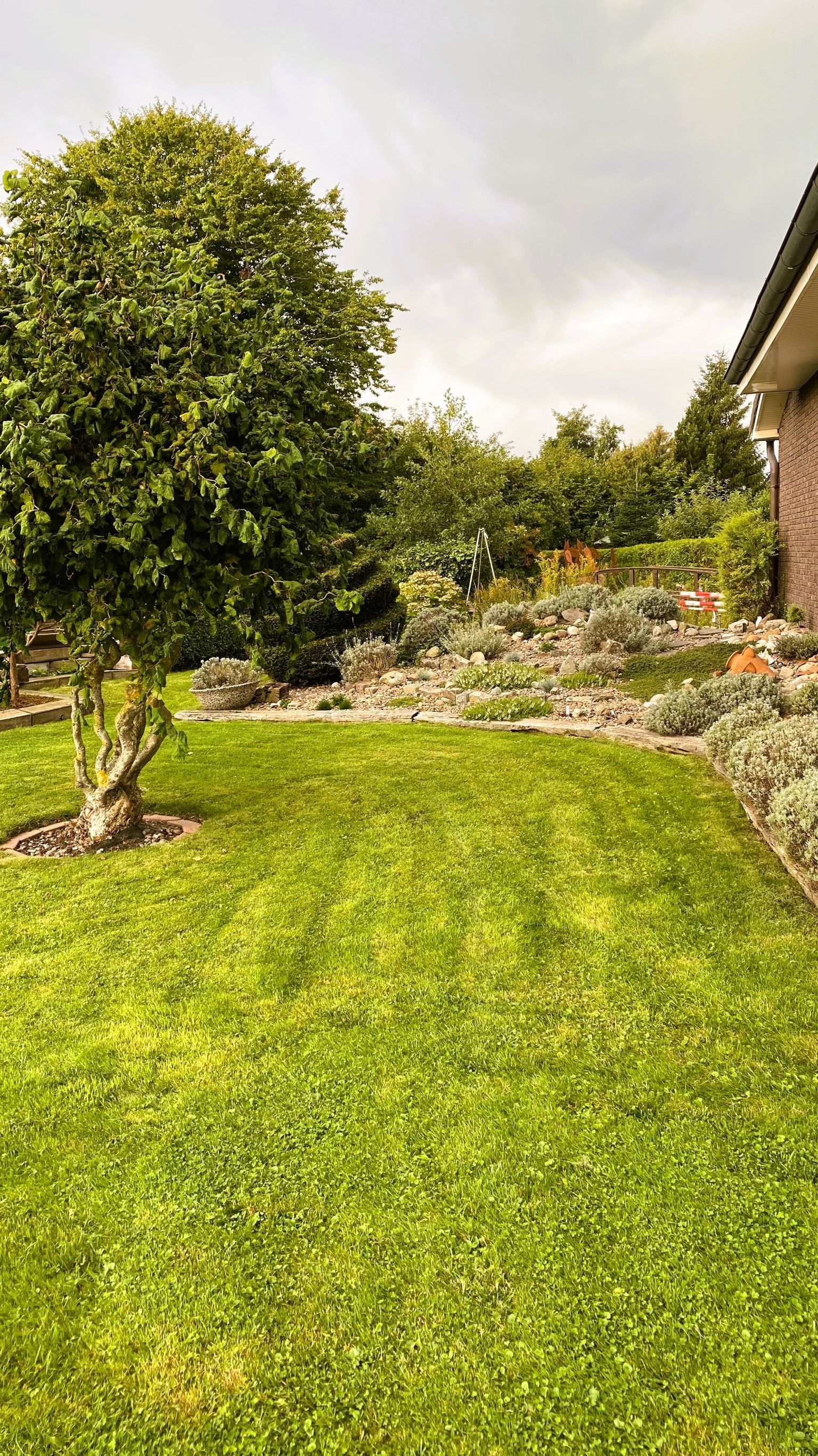 Jardim bem cuidado com diversas plantas e uma árvore em primeiro plano.