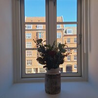 Basic-fællessovesal - mænd/kvinder - byudsigt | Allergivenligt sengetøj, skrivebord, arbejdsområde til bærbare computere