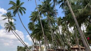Bãi biển