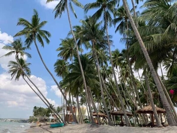 Beach - The Legend Coco Beach (Phan Thiet)