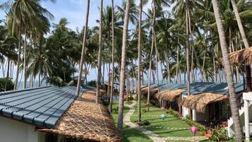 Khuôn viên nơi lưu trú