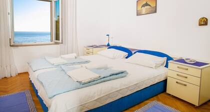 One Bedroom Apartment 3