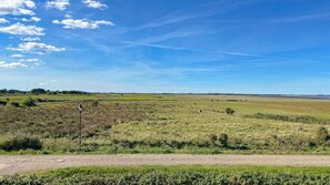 Unclassified image, 3 of 11, button