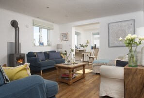 Smart TV, fireplace, books, stereo