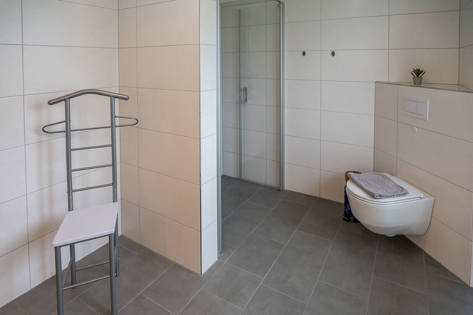 A bathroom with a toilet, a shower, a towel rack, and a small potted plant.