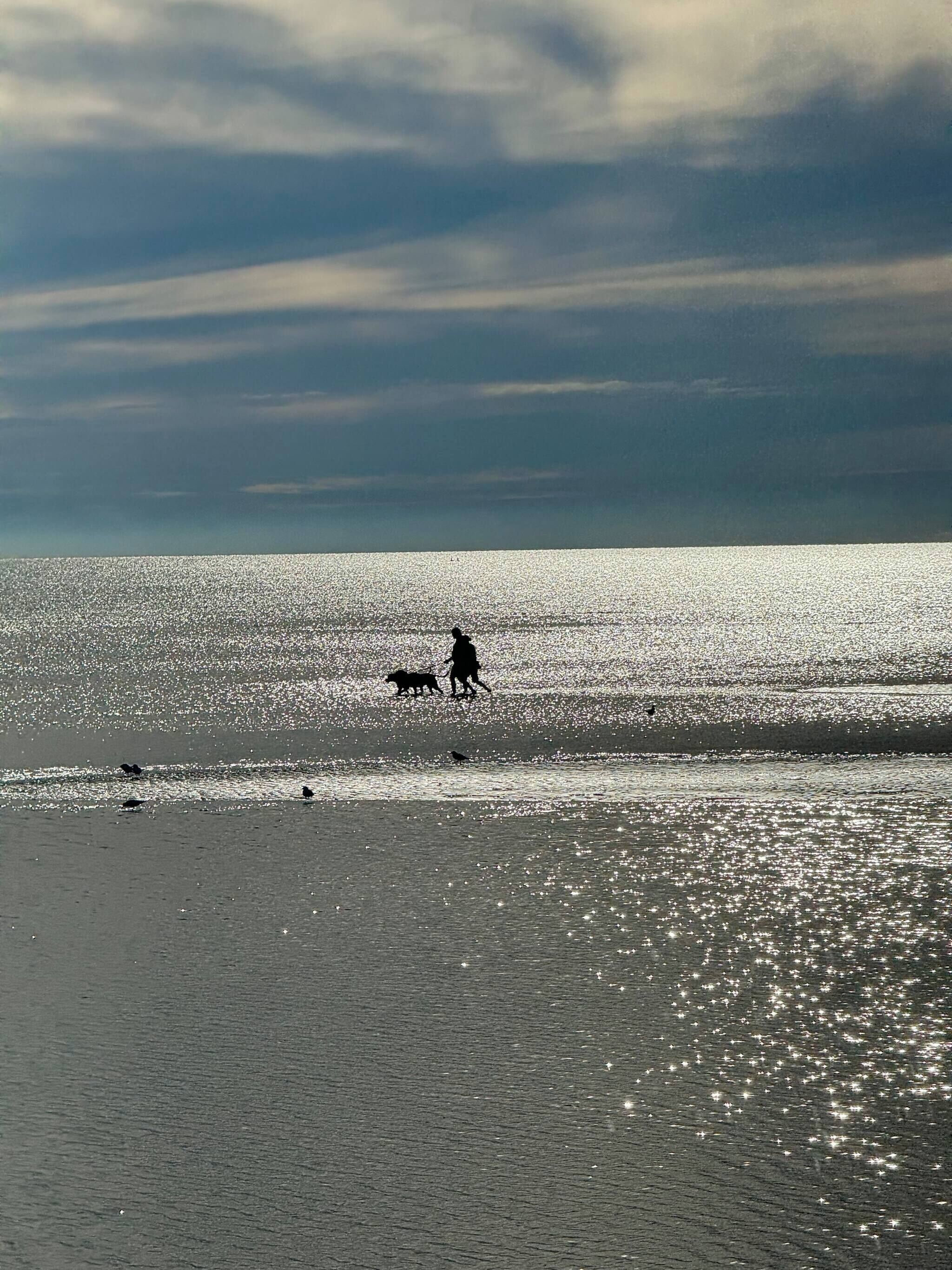 Asrama Umum, 1 kamar tidur, Boleh Merokok | Pantai