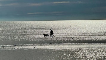 Asrama Umum, 1 kamar tidur, Boleh Merokok | Pantai