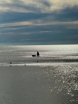 Shared Dormitory, 1 Bedroom, Smoking | Beach - Room-room in a Lovely House (Brisbane)