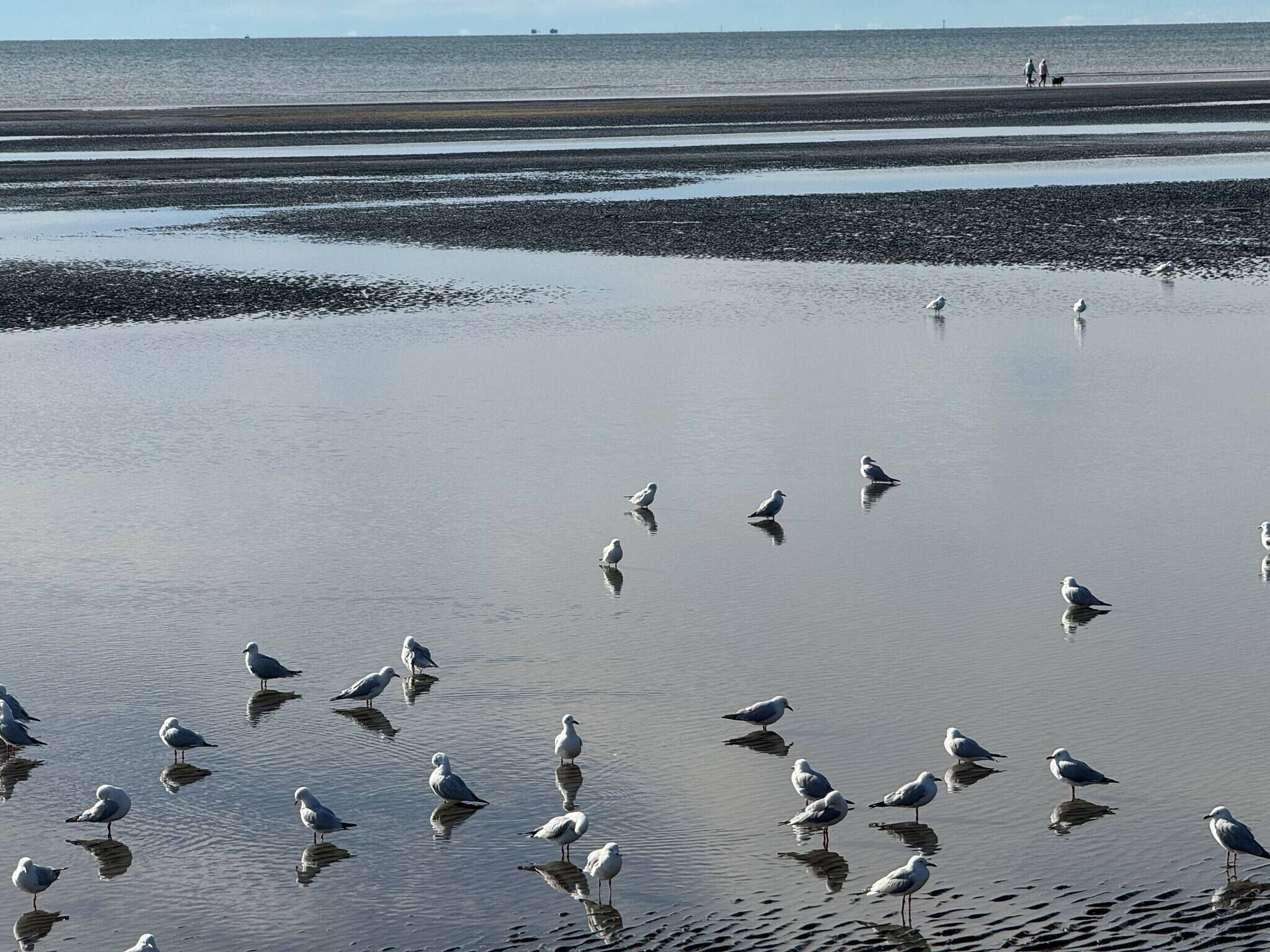 Shared Dormitory, 1 Bedroom, Smoking | Beach