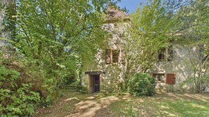 An old stone building surrounded by dense foliage. - Lovely house with pool and garden (Saint-Léon-sur-Vézère)