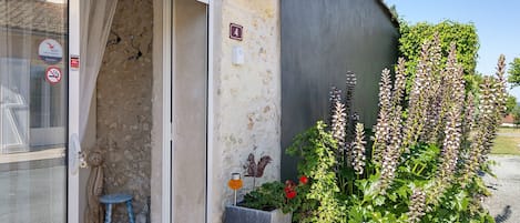 Detalle exterior