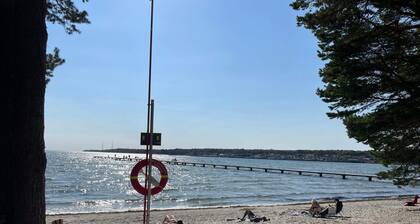 4 Star Holiday Home in Solvesborg