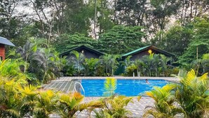 A swimming pool surrounded by lush greenery and two small buildings with green roofs. - Dandeli Inn Resort  (Dandeli)