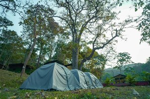 Un área de camping con dos tiendas de campaña instaladas entre árboles.