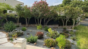 A garden with various plants and a building in the background.