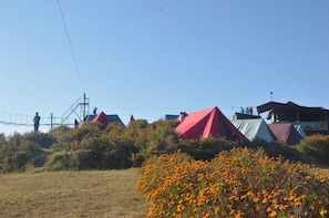 Tent | Rollaway beds, free WiFi, bed sheets