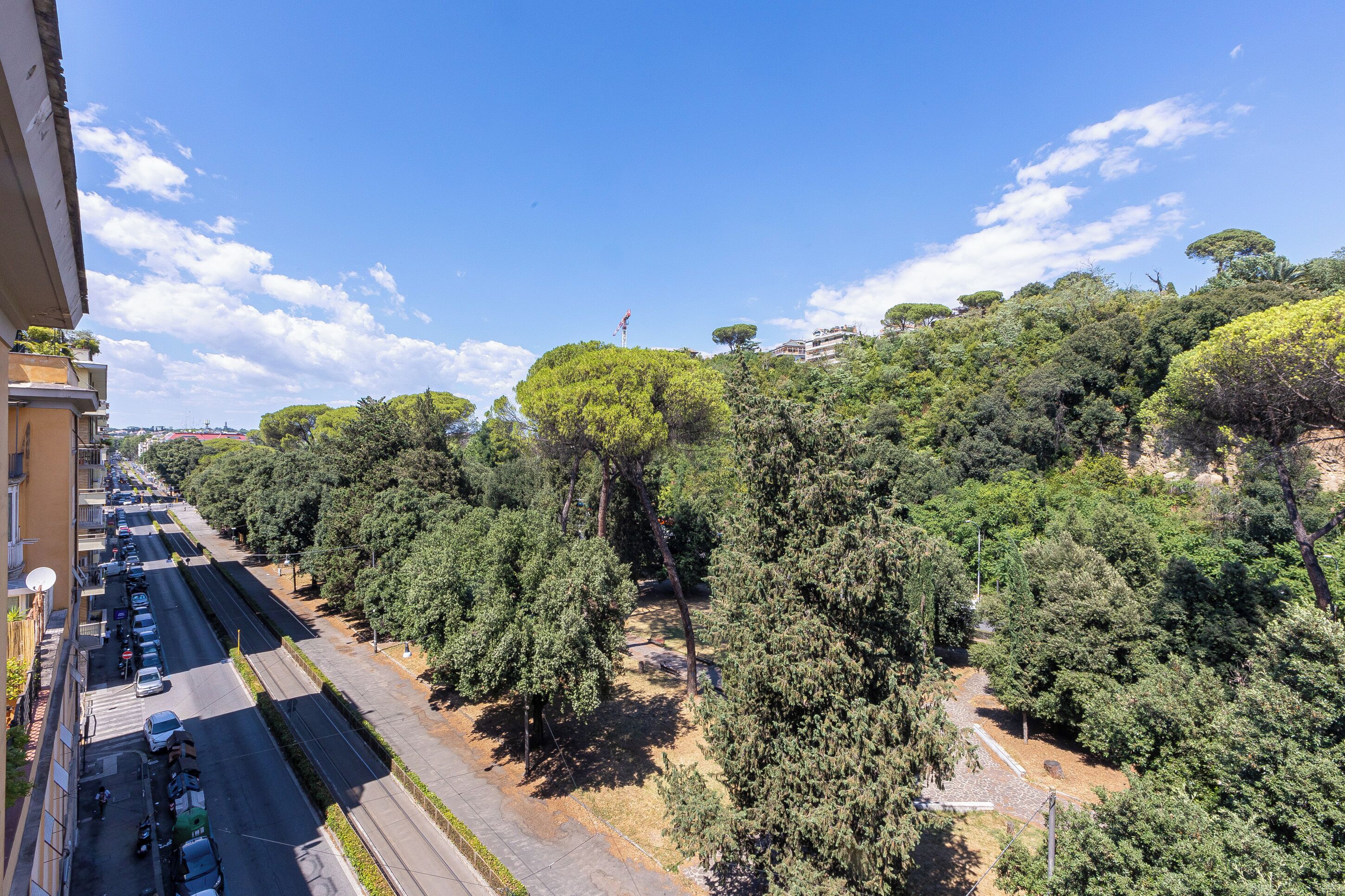 Une rue bordée de voitures garées et d’arbres, avec des immeubles d’un côté et une colline couverte d’arbres de l’autre.