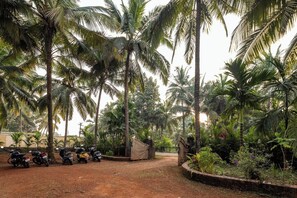 Front of property - Cashew Garden Homestay (Agonda)