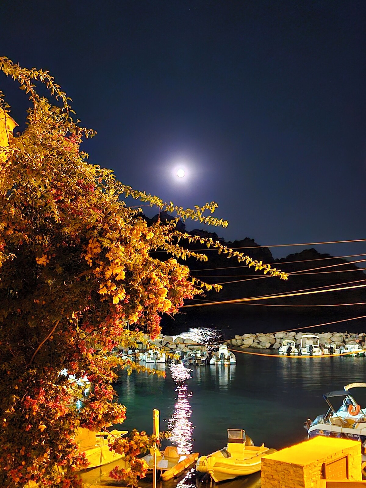 オーナーのプロフィール画像