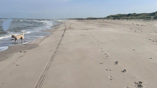 A beach with a clear sky, a sandy shore, and footprints leading to the water. - Cozy chalet near the sea. Pet friendly! (Schagen)