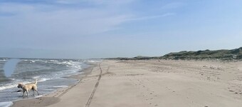 Cozy chalet near the sea. Pet friendly!