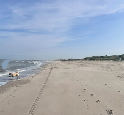 Cozy chalet near the sea. Pet friendly!