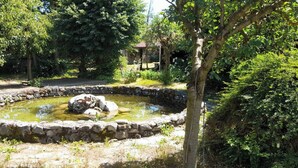 A circular stone pond with a central rock, surrounded by a stone wall, set in a lush garden with trees and a gazebo in the background. - Relax in Banya's Hidden Gem - Igzila Appartment (Razlog)