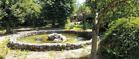 Appartement, 1 chambre, accessible aux personnes à mobilité réduite, fumeurs | Jardin