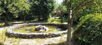 Relax in Banya's Hidden Gem - Igzila Appartment