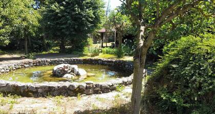 Relax in Banya's Hidden Gem - Igzila Appartment