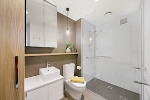 Shower, hair dryer, towels