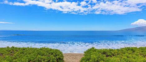 Playa en los alrededores